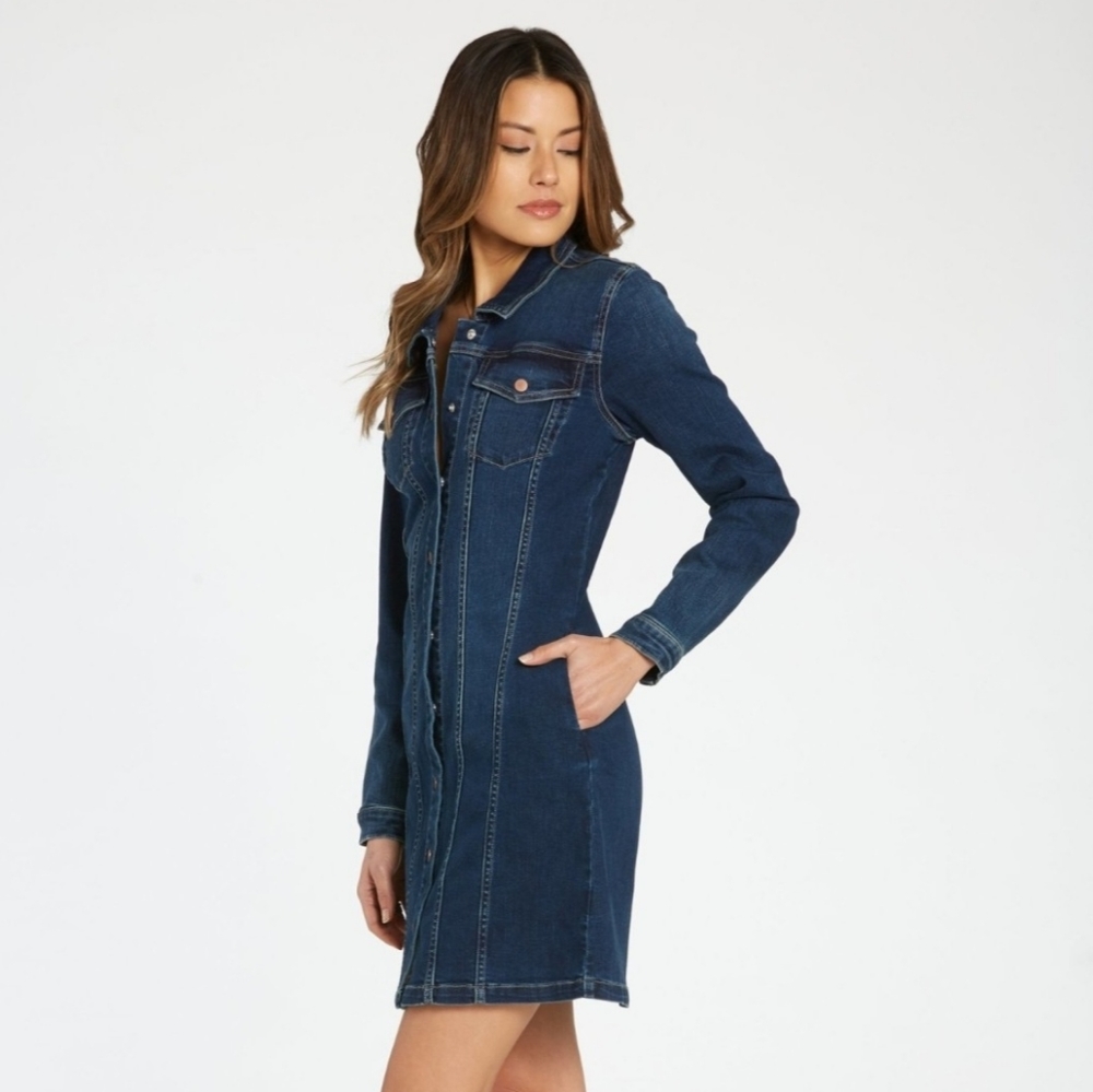 NWT Dear John Josephina Jean dress